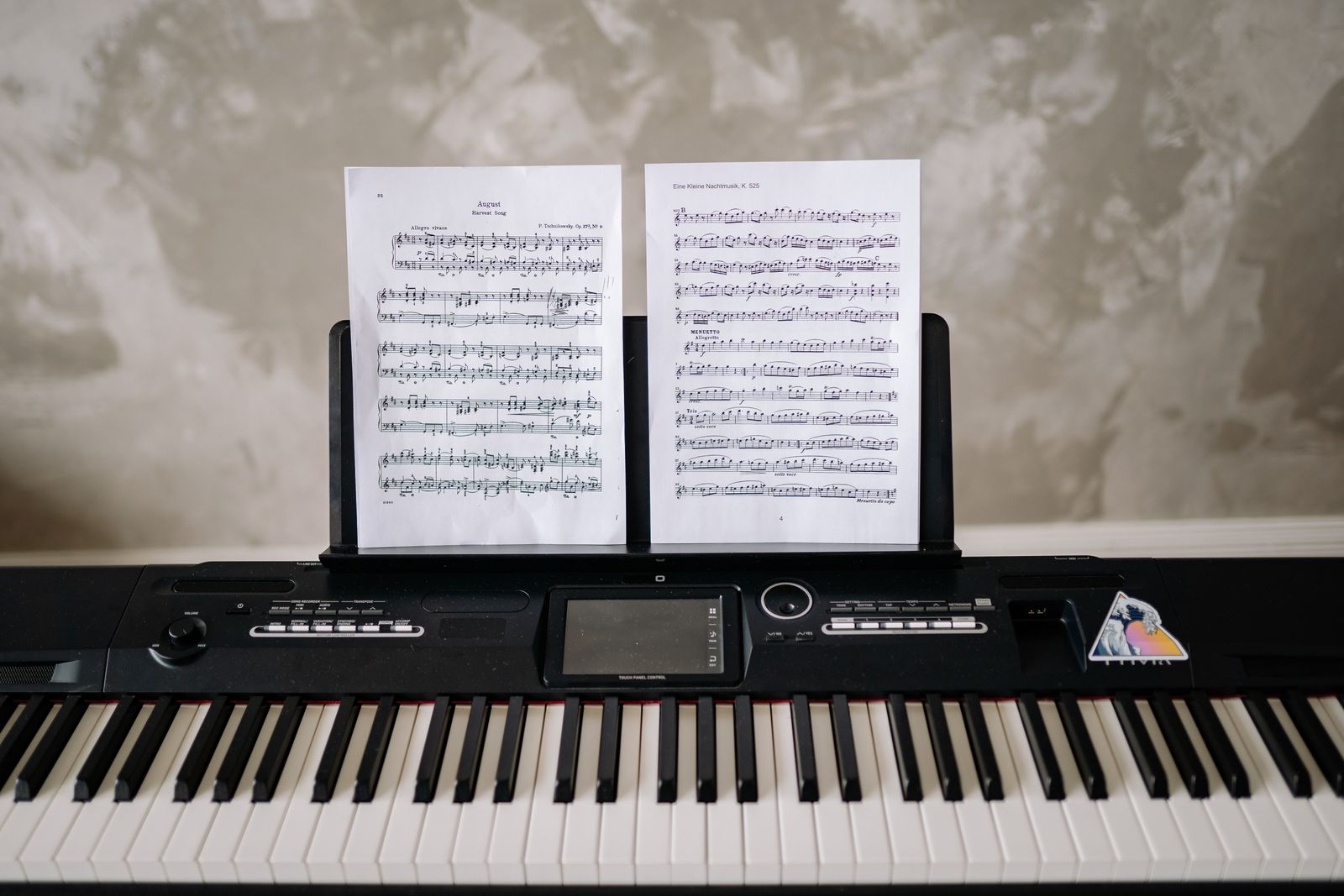 Portable keyboard with controls and built-in speakers